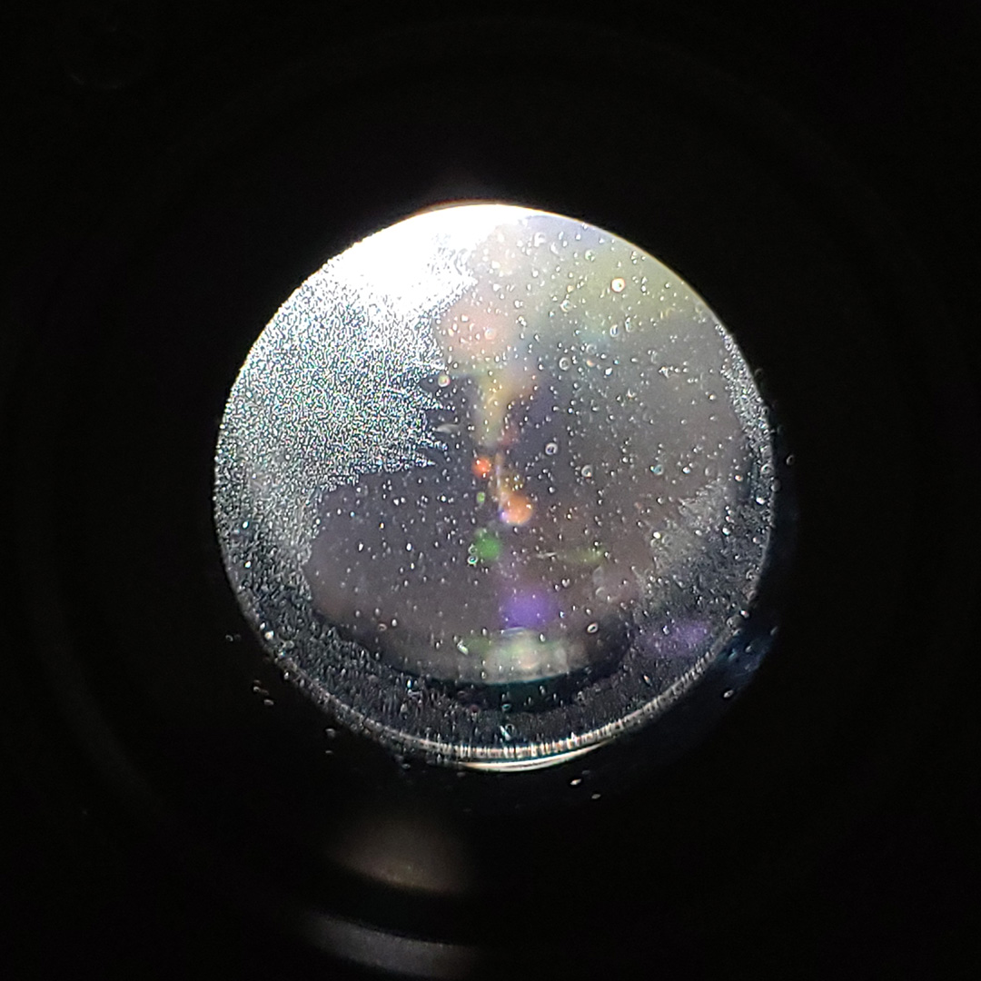 Read more about the article The Practical Guide to Keeping Your Lenses Fungus-Free in 2025